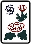 菊花牌的圖片