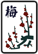 梅花牌的圖片